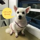 MUNG MOO 이미지