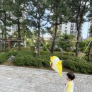 아이웰소아청소년과의원건강기능식품 | 고림동 소아과 찾는다면 (둔전 포함)