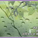 나를 위로하는 날 - 시 : 이해인 - 이미지