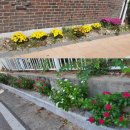 화지8리 이미지