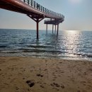 남당항 새조개 축제(2월 12일) 당일 드라이브 여행💕 찐 후기 이미지