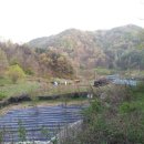 추부농장 이미지