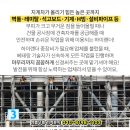 광신벽돌 이미지