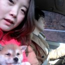 준켄넬 이미지