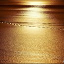 옥구공원 이미지