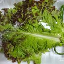 (사)금남시장 이미지