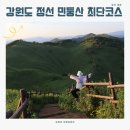 강원도 가볼만한곳 정선 여행 [민둥산] 최단코스 등산후기 거북이쉼터 주차