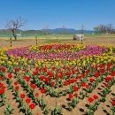 낙동강체육공원 축구장 이미지