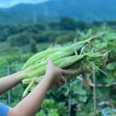 예곡농장 이미지