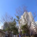 주공10단지 이미지