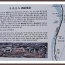 영남대로 Daum카페
