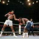 영바디복싱 이미지