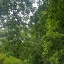 산새북카페 이미지