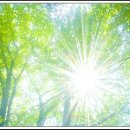 빅토르위고의 레미제라블 이미지