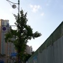 철망산복합시설 이미지