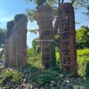 경기도박물관 | [박물관] 16개월 차 아기와 함께 경기도어린이박물관(용인) 방문 + 후기 + 무료로 이용하는 방법까지!!