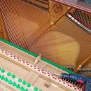 달다리한상회 이미지