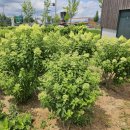 무정면사무소 이미지