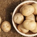 광활농협 이미지