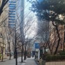 40-C | 목동미용실 웬스헤어에서 완성한 40대 뿌리펌 &amp; C컬펌 후기