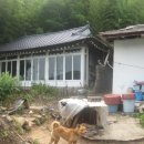 하대동112 이미지