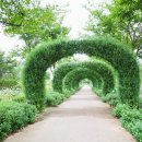 거창창포원 공공자전거 보관소 | 대구 근교 아이와 가볼 만한 곳 거창 창포원 가을 여행지 나들이 입장료 주차료 무료입니다.