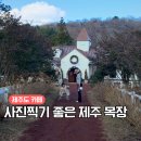 윤목장 | 제주목장 카페 가볼만한곳 사진 찍으러 가기 좋은 길갈팜랜드