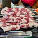 오리사냥 이미지