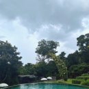 cafe 바람구름 | 푸켓 스리판와 풀빌라 수영장 / 레스토랑 / 올드타운 2편 솔직후기 내돈내산기록