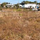 태흥3리 이미지