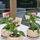 자연과식물원예연구소 이미지