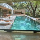 폴레폴레 | 대전 대형카페 폴레폴레 솔직 방문 후기