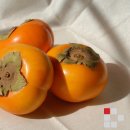 바이제로