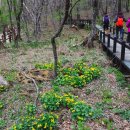 양양IC주유소 이미지