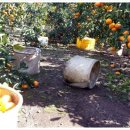 경중농장 이미지