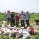 구산농장 이미지