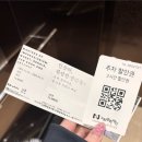 나홀로 | 노원구 전시회 인상파 찬란한 순간들 나홀로 관람 후기