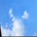 인의축산 | 겨울보양식 사골곰탕 끊이기