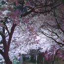 목감쌀롱