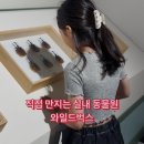 교통카드판매대 | 인천 가볼만한 곳 실내박물관 곤충, 동물 체험까지 가능한 와일드벅스 후기
