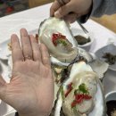 늘봄식당 | 하동 십리벚꽃길 맛집: 섬진강 벚굴 참게탕 '늘봄식당' 솔직후기(주차, 추천메뉴, 재방문후기)