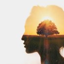 웰빙 1000 이미지