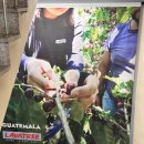 대랑농장 | 내방역카페 라바트리 갔는데 알고보니 서울숲점도 갔었던 후기 찐다 .ㅋ