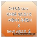 에스디데이터 | 스마트홈 CCTV 반려동물 확인용으로 써봤더니 유용했어요, 3가지 기능으로 분리불안 해결한 후기