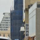 천하유통 | 강릉 카페 정남미명과 수평선점 천하제빵 구황작물빵 주말 웨이팅 솔직 후기