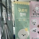 구르미맘마 이미지