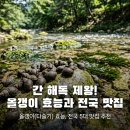 성호식품 | [전국 올갱이 맛집, 간 해독의 제왕] 올갱이(다슬기) 효능부터 전국 5대 현지인 맛집까지 완벽 정리