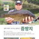 중방지 이미지