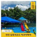 상록태권도 | 천안 워터파크 가성비 좋은 상록 아쿠아피아 오픈 첫날 생생후기