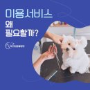 체크업동물병원 이미지